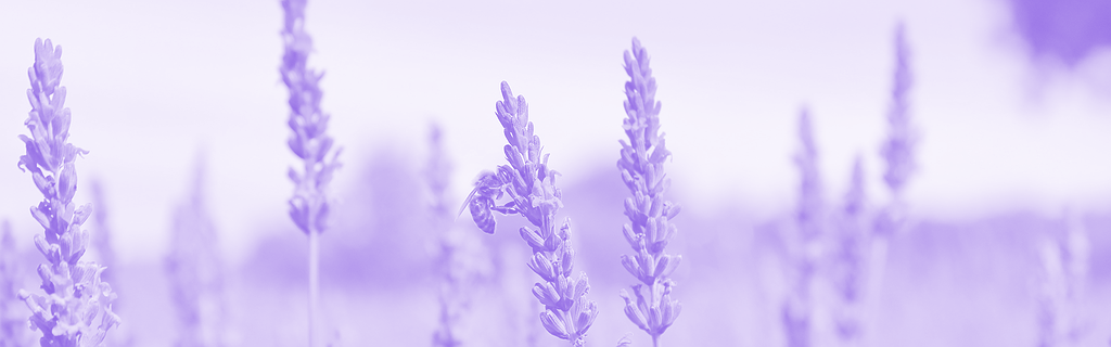 Pollinisation