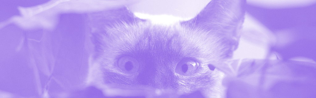 Un chat en ambuscade