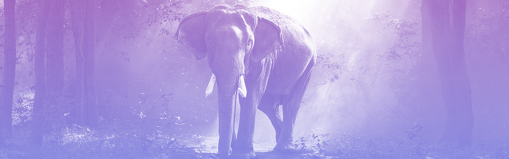 Mastodon, un éléphant dans la pièce des plateformes