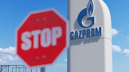 Illustration How the EU ban on Russian gas imports will work