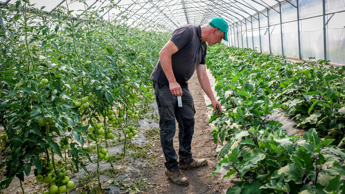 Infographie - L’agriculteur actif, un point clivant pour la prochaine PAC