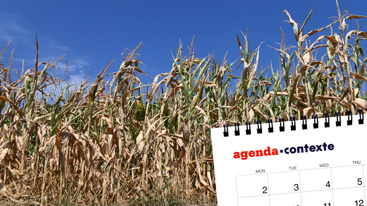Agriculture : à Paris comme à Bruxelles, négociations budgétaires tendues en perspective